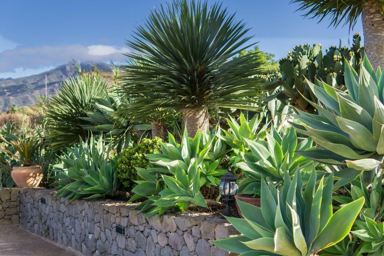 La Casa Del Campo Villa เบกา เด ซานมาเตโอ ภายนอก รูปภาพ
